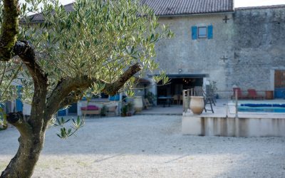 Gîte de charme en Charente : Route des vins et saveurs locales